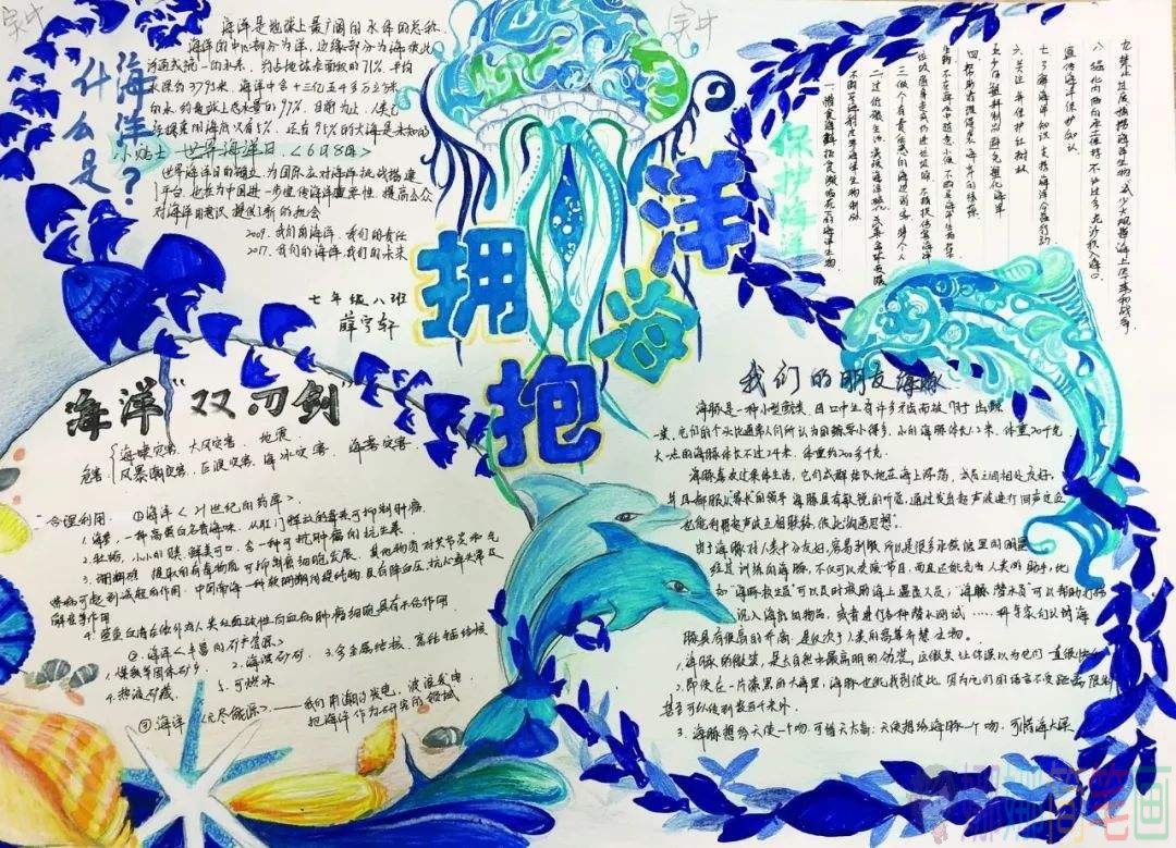 保护海洋手抄报图片大全