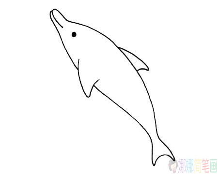 卡通海豚简笔画步骤,卡通海豚简笔画图片大全