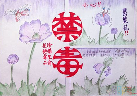 禁毒手抄报优秀获奖作品鉴赏