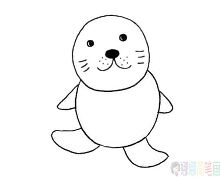 简单的海豹简笔画步骤,海豹简笔画图片大全