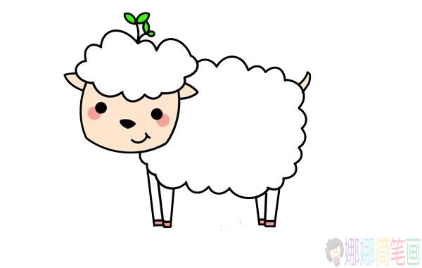 可爱绵羊简笔画的画法,绵羊简笔画步骤