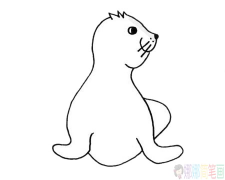 简单的海豹简笔画步骤,海豹简笔画图片大全