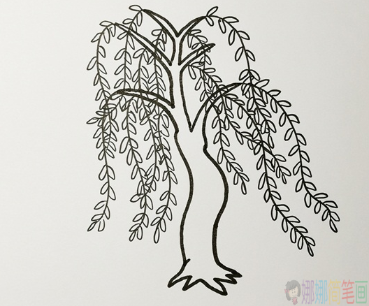 柳树简笔画图片大全,柳树简笔画步骤