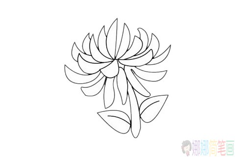 一组简单好画的花朵简笔画线稿