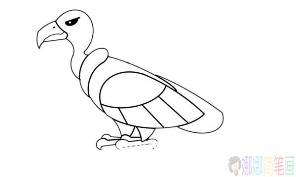 秃鹫儿童简笔画图片