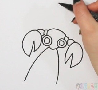 龙虾简笔画,龙虾儿童画