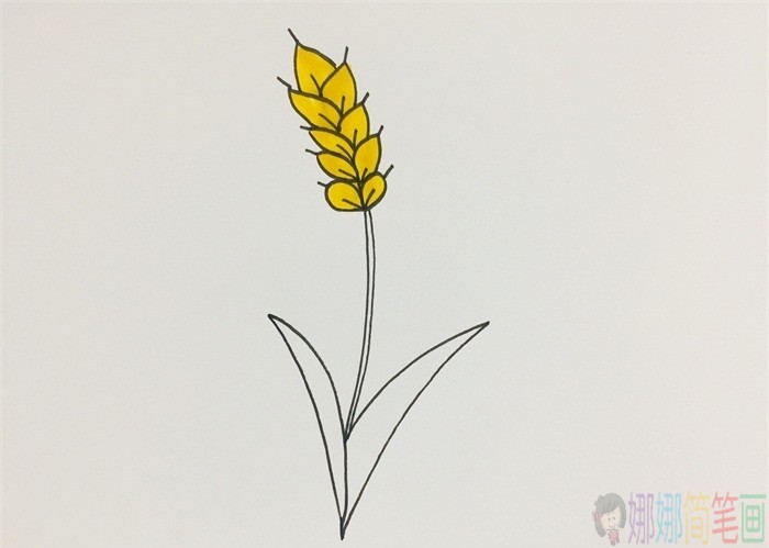 小麦简笔画图片