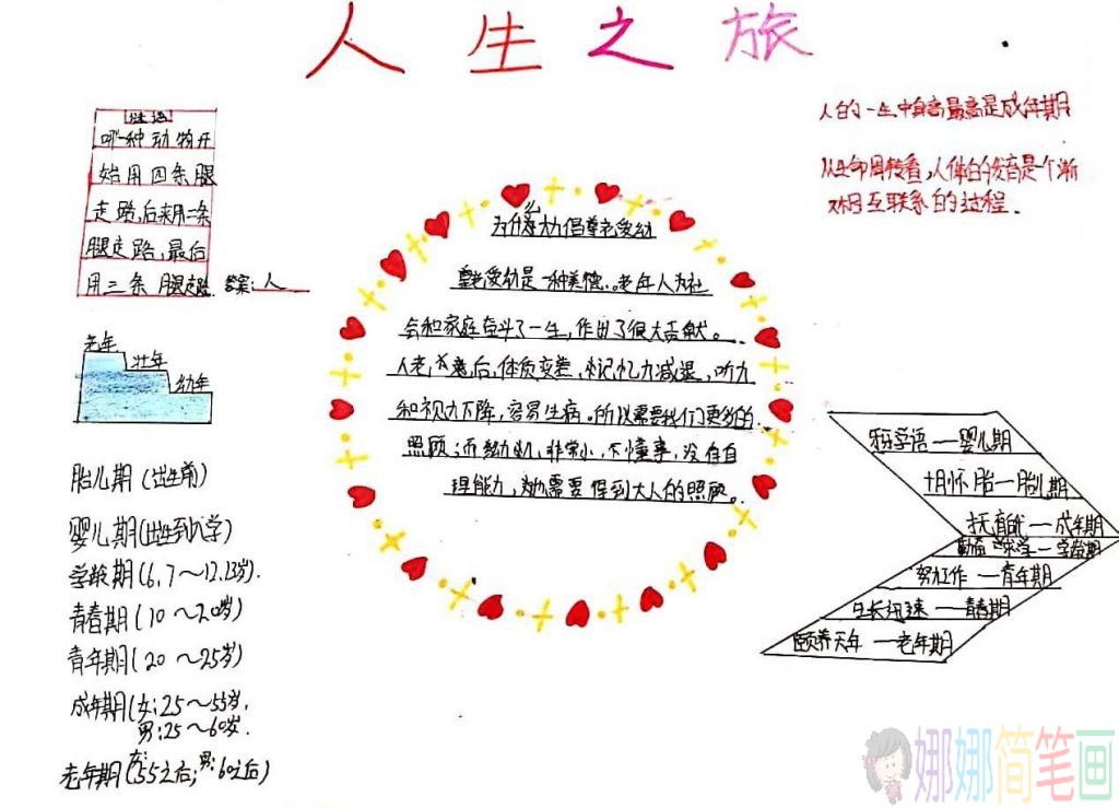 三年级生物科学手抄报图片