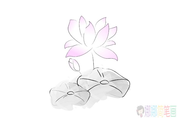 各种造型的彩色荷花简笔画