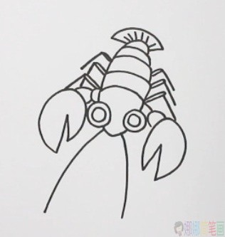 龙虾简笔画,龙虾儿童画