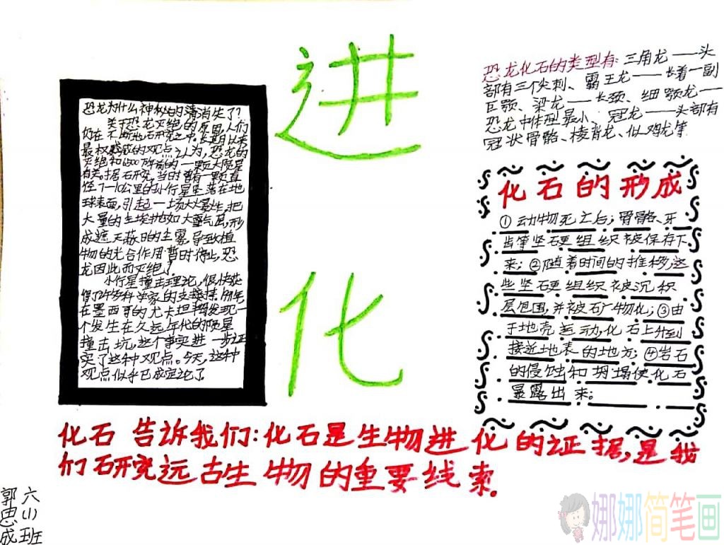 三年级生物科学手抄报图片