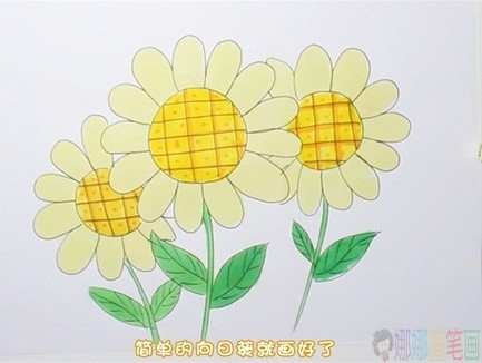 彩色向日葵简笔画步骤图