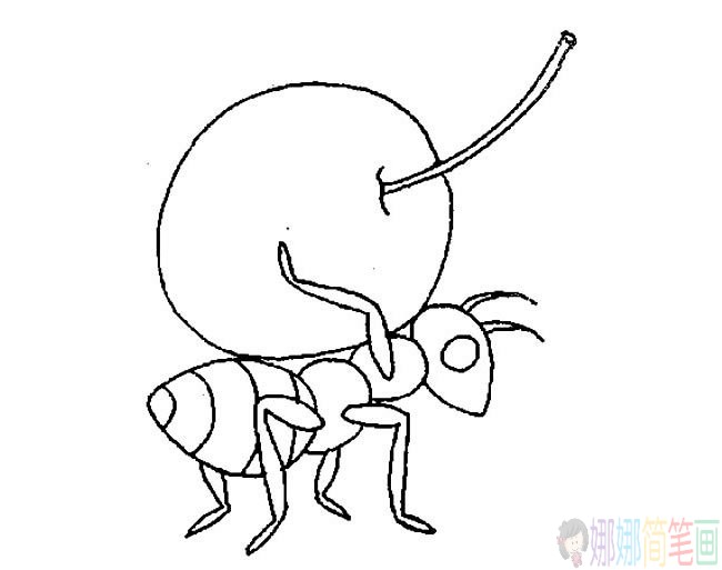 小蚂蚁搬东西简笔画图片