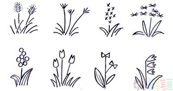花草植物简笔画大全