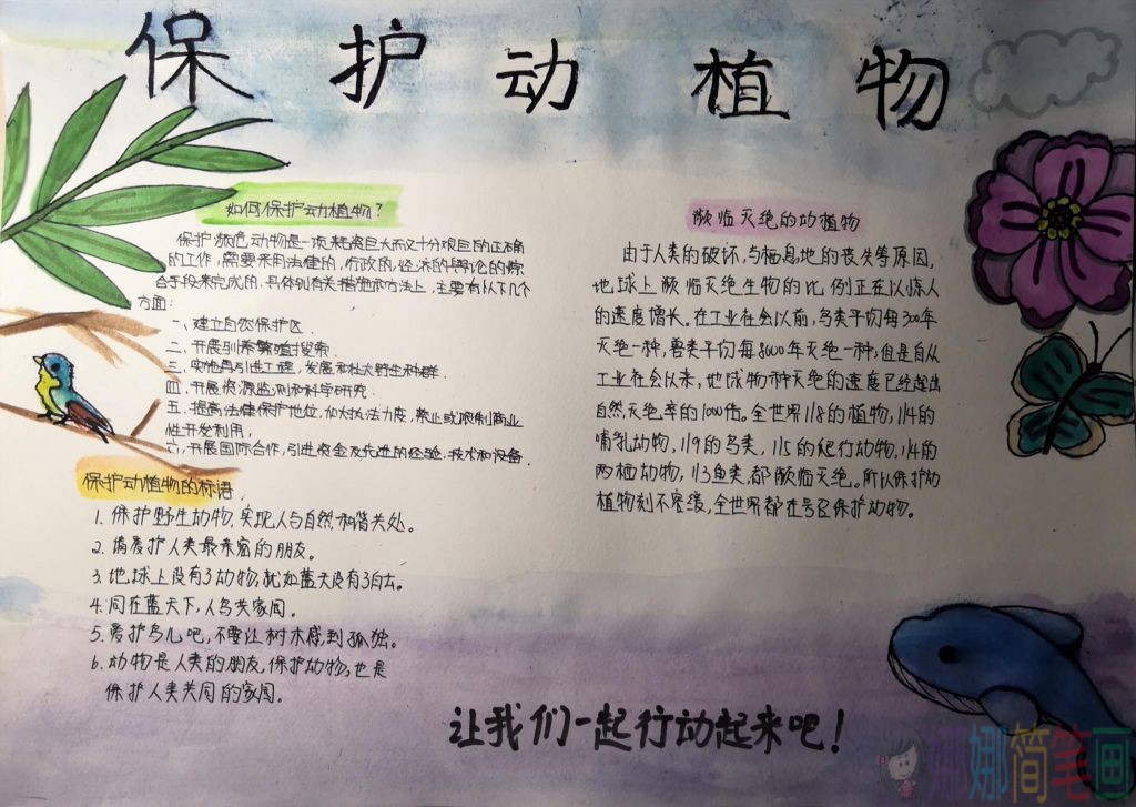 保护动植物手抄报