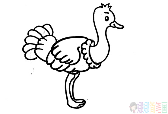 鸵鸟儿童简笔画