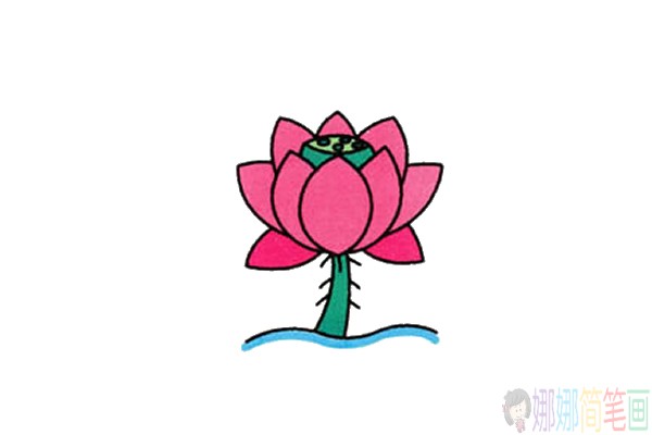 各种造型的彩色荷花简笔画