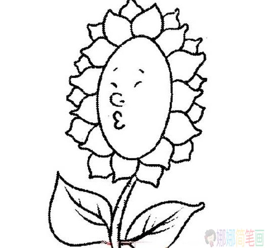 向日葵简植物笔画图片大全