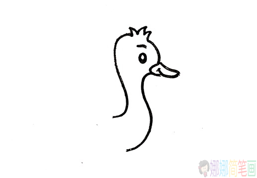 鸵鸟儿童简笔画