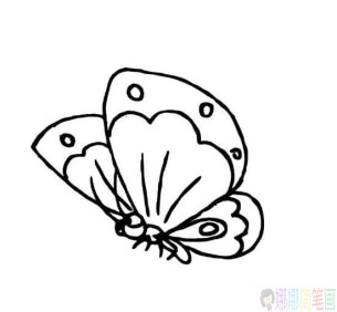 各种漂亮的蝴蝶简笔画图片