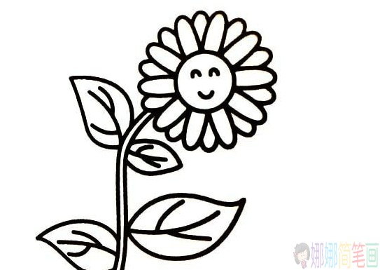 向日葵简植物笔画图片大全