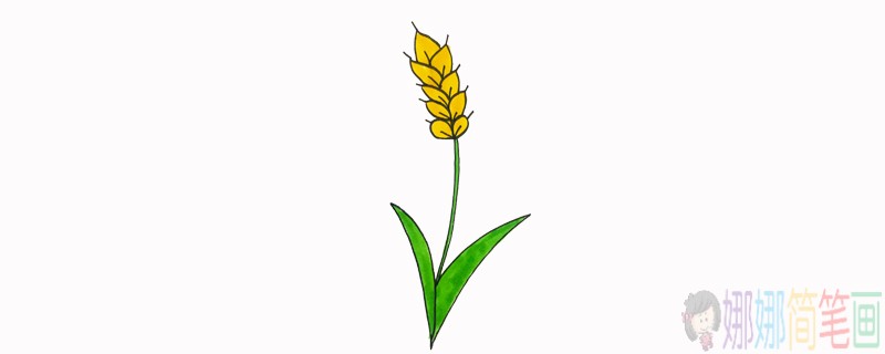 小麦简笔画图片