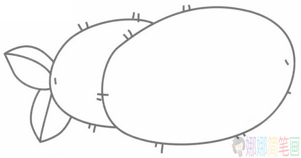 猕猴桃简笔画图片大全
