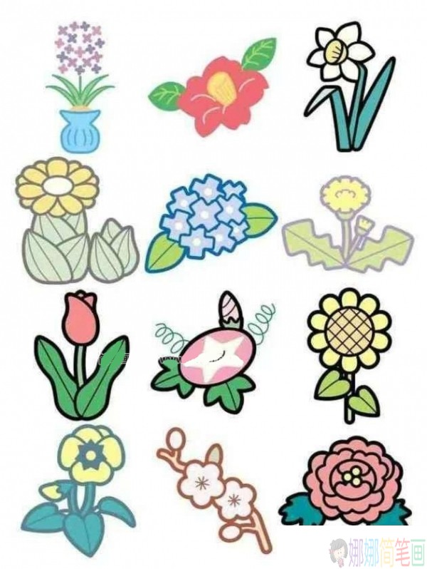 各种好看的花朵彩色简笔画图片