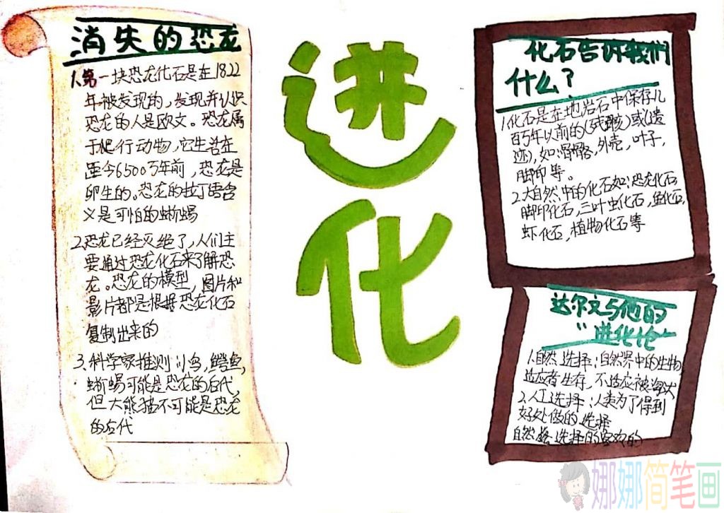 三年级生物科学手抄报图片