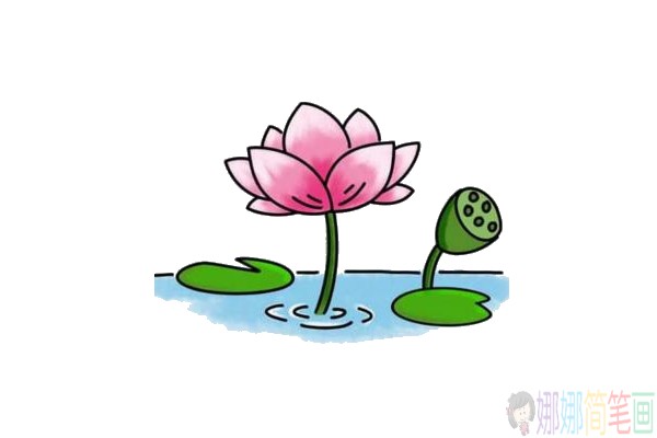 各种造型的彩色荷花简笔画