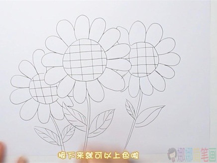 彩色向日葵简笔画步骤图