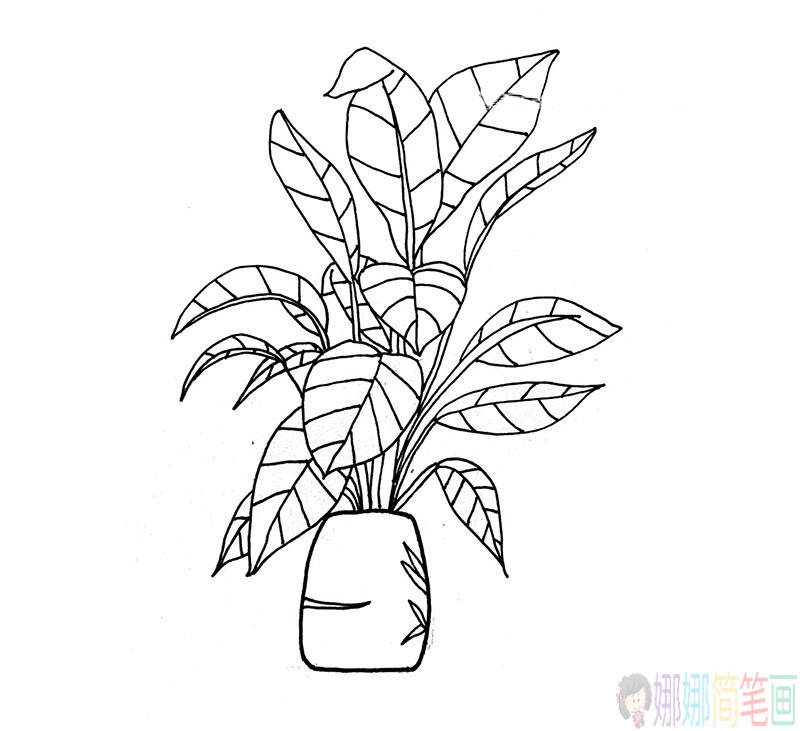 漂亮的盆栽植物简笔画