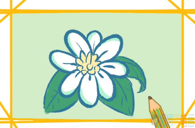 漂亮的白色花朵简笔画画法