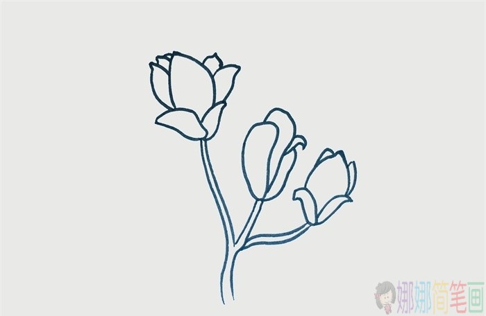 玉兰花简笔画,玉兰花儿童画