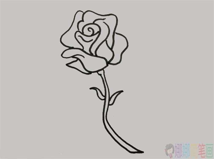 粉红色蔷薇花朵简笔画