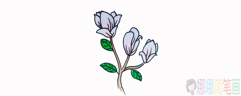 玉兰花简笔画,玉兰花儿童画