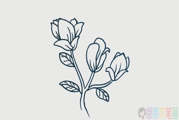 玉兰花简笔画,玉兰花儿童画