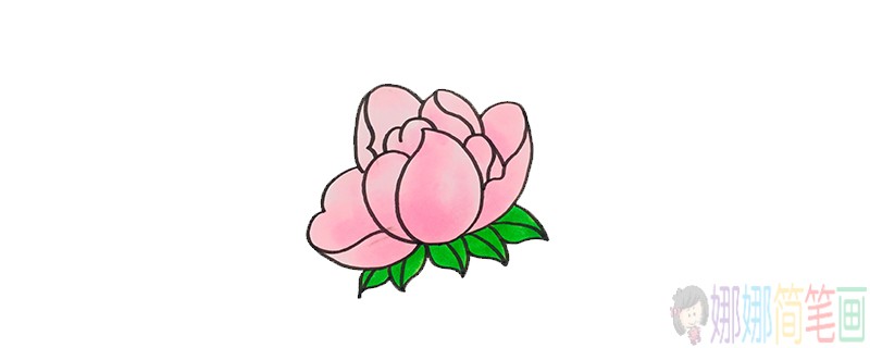 粉红色花朵简笔画画法