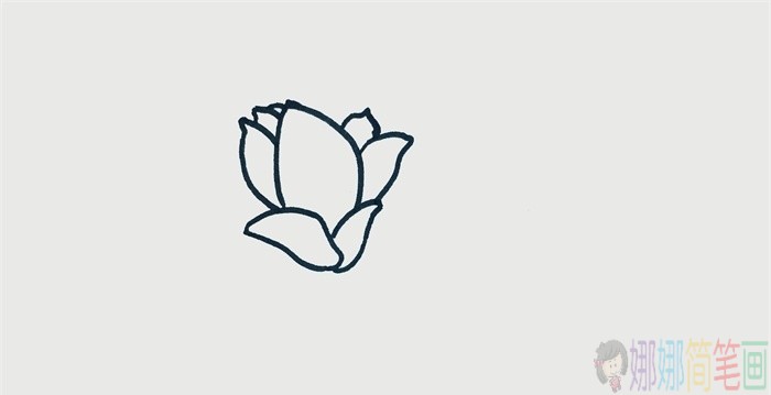 玉兰花简笔画,玉兰花儿童画