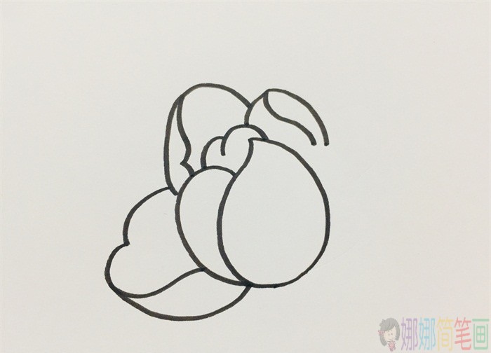 粉红色花朵简笔画画法