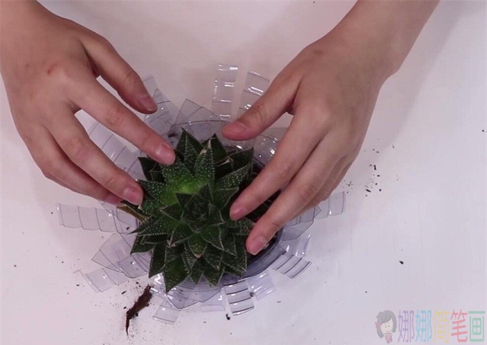 废旧塑料瓶创意手工教程