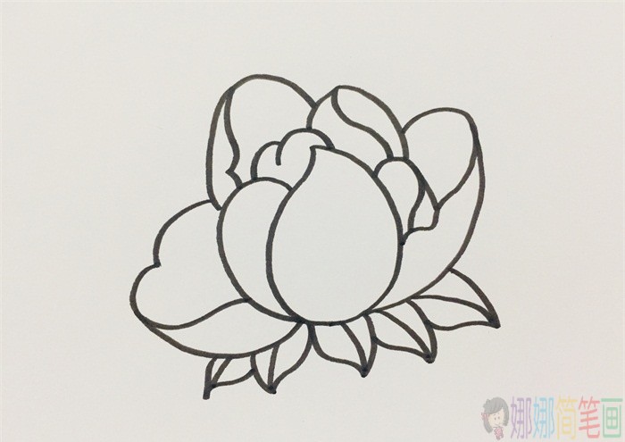 粉红色花朵简笔画画法