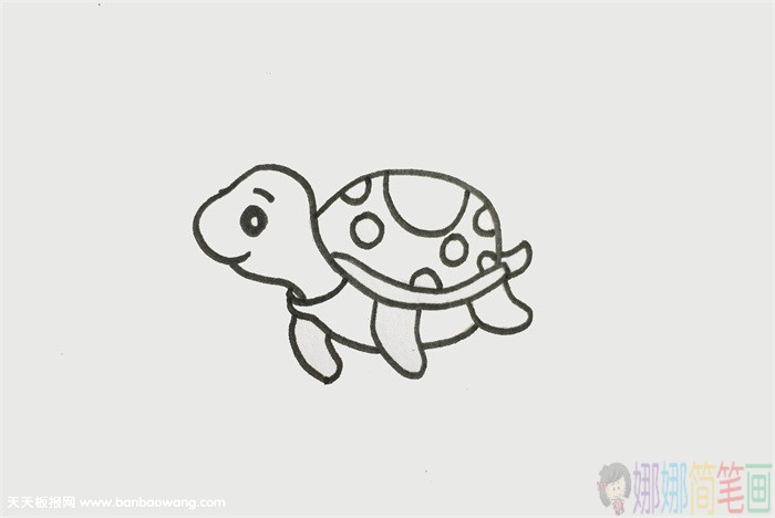 海龟简笔画,海龟儿童画
