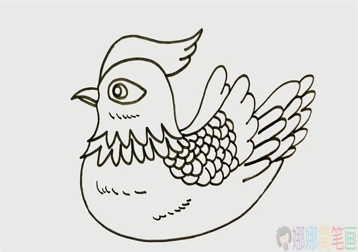 鸳鸯简笔画画法,鸳鸯怎么画