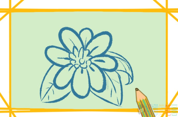 漂亮的白色花朵简笔画画法