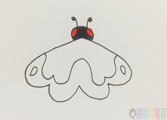 飞蛾的简单画法,飞蛾怎么画