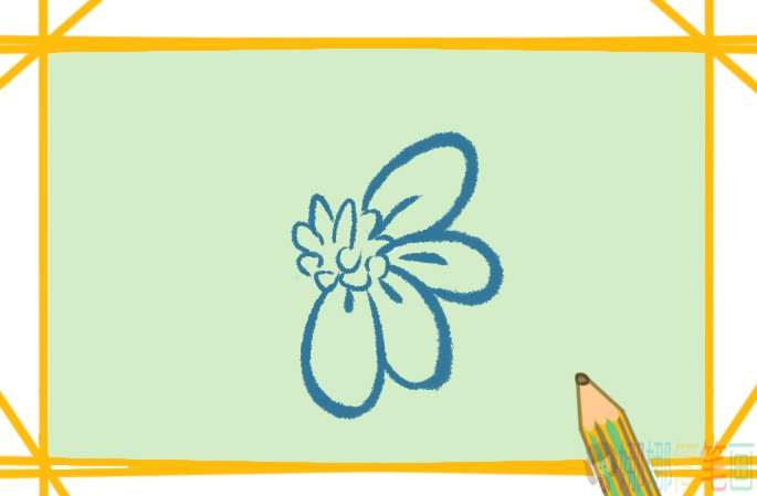 漂亮的白色花朵简笔画画法