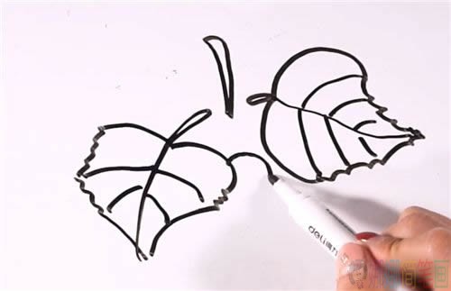 葡萄简笔画,葡萄儿童画教程