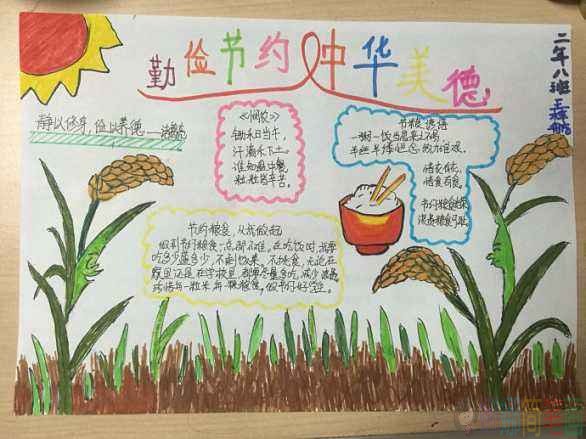 节约粮食手抄报
