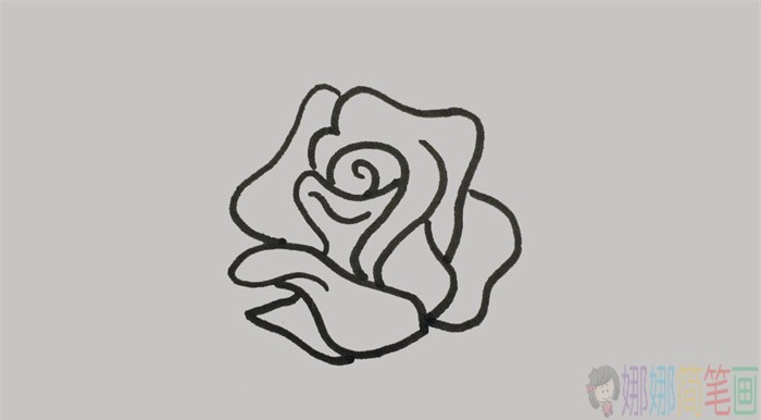 粉红色蔷薇花朵简笔画